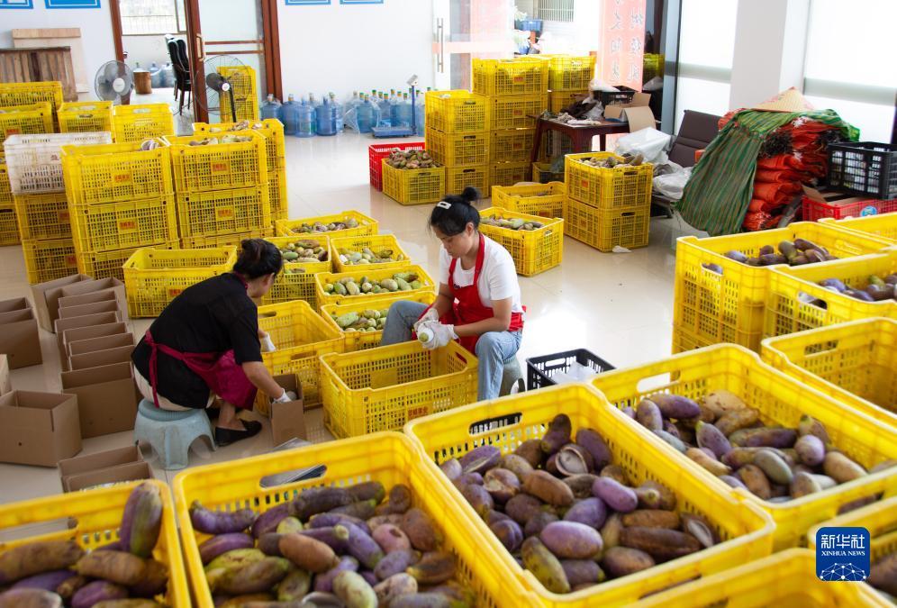 博雅地方棋牌官网
